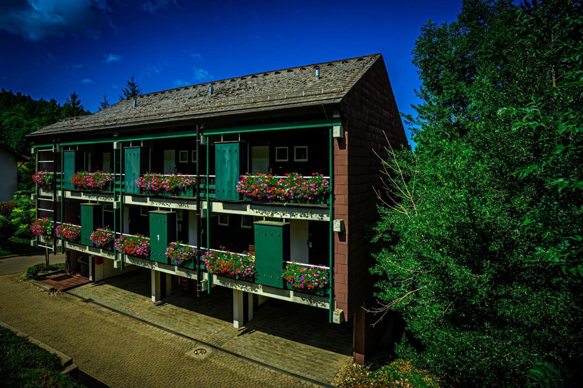 Natur Tanken Im Schwarzwald Sasbachwalden Exteriör bild