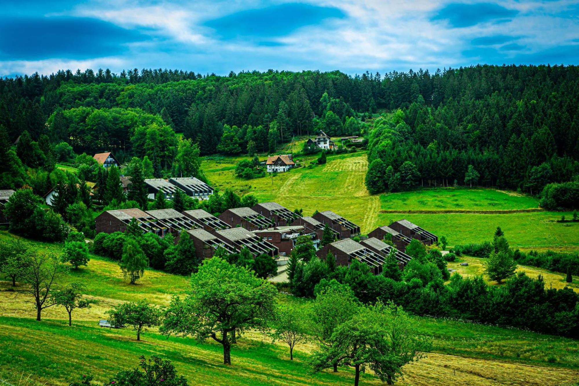 Natur Tanken Im Schwarzwald Sasbachwalden Exteriör bild